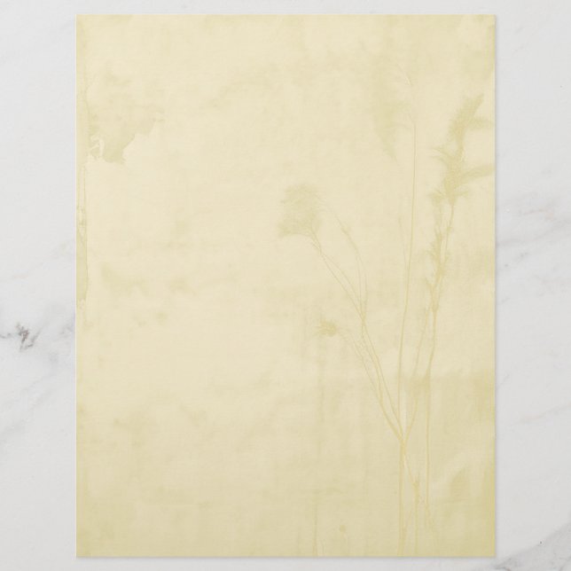 ボホ紙レターヘッド レターヘッド (正面)