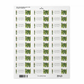 ボホ赤面グリーントロピカルパームビーチアドレス ラベル (フルシート)