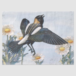 ボボリンク鳥デコページティッシュペーパー 薄葉紙
