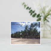 ボラカイビーチヤシ ポストカード (スタンド正面)