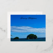 ボラカイ葉書 箔シーズンポストカード (正面/裏面)