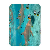 ボラボラグーンの長方形の磁石のサメ マグネット (縦)