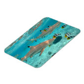 ボラボラグーンの長方形の磁石のサメ マグネット (左側)