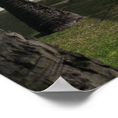 ボラボラハンモック ポスター (角)