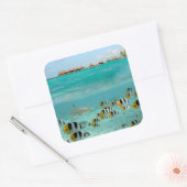 ボラボララグーンのシールで魚を追いかけるサメ スクエアシール (封筒)