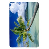 ボラボラ磁石 マグネット (縦)