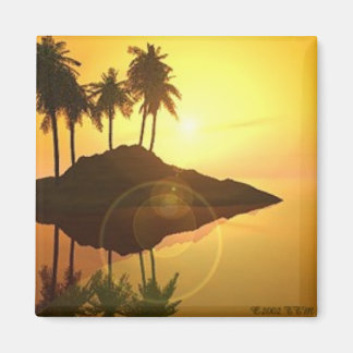 ボラボラ マグネット