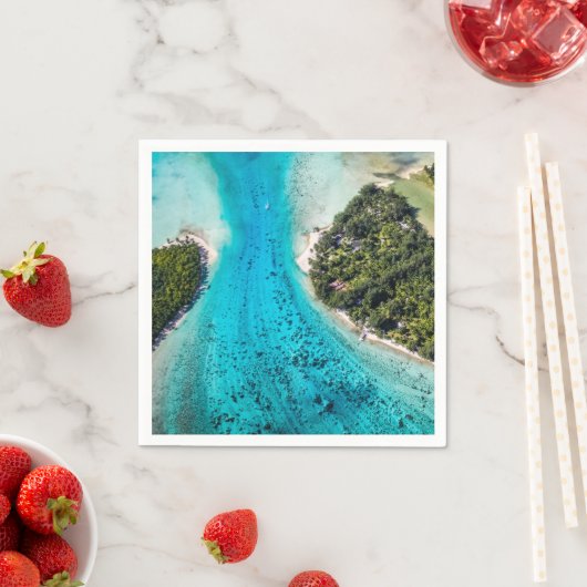 ボラボラ – 海への経路 スタンダードカクテルナプキン (インサイチュ)