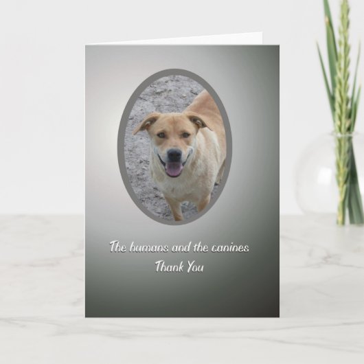 ボランティアはの犬の救助感謝していしています サンキューカード (正面)