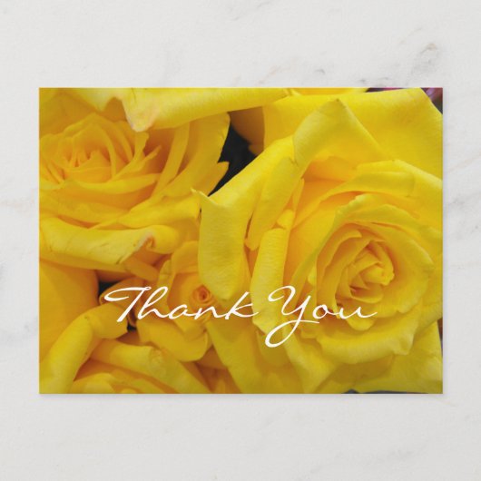 ボランティ感謝していアイロバラの花 ポストカード (正面)