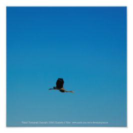 ボラント フォトプリント           