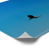 ボラント ポスター (角)