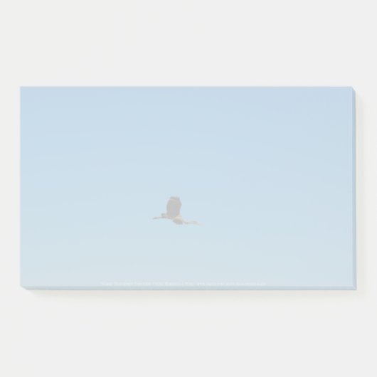 ボラント ポストイット (正面)