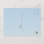 ボラント ポストカード (裏面)