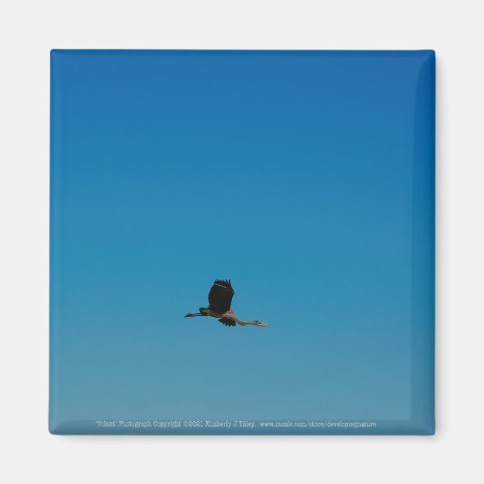 ボラント マグネット (正面)