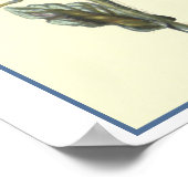 ボラージュ植物学イラストレーション ポスター (角)