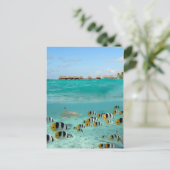 ボラ・ボラのラグーン葉書で魚を追いかけるサメ ポストカード (スタンド正面)