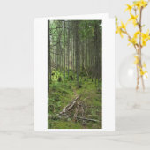 「ボリアルライフトレイル」アディロンドラックの森の風景 カード (黄色い花)