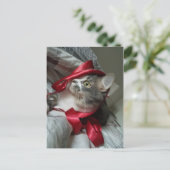 ボリスザカワイナバー子猫はがき ポストカード (スタンド正面)