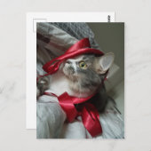 ボリスザカワイナバー子猫はがき ポストカード (正面/裏面)