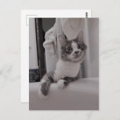 ボリスザカワイナバー子猫はがき ポストカード (正面/裏面)