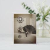 ボリスザカワイナバー子猫はがき ポストカード (スタンド正面)