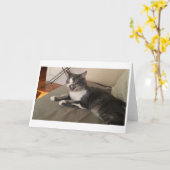 ボリスザカワイナバー子猫グリーティング カード (黄色い花)