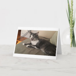 ボリスザカワイナバー子猫グリーティング カード