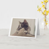 ボリスザカワイナバー子猫グリーティング カード (黄色い花)