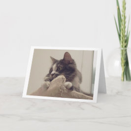 ボリスザカワイナバー子猫グリーティング カード