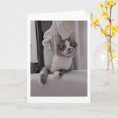 ボリスザカワイナバー子猫グリーティング カード (黄色い花)