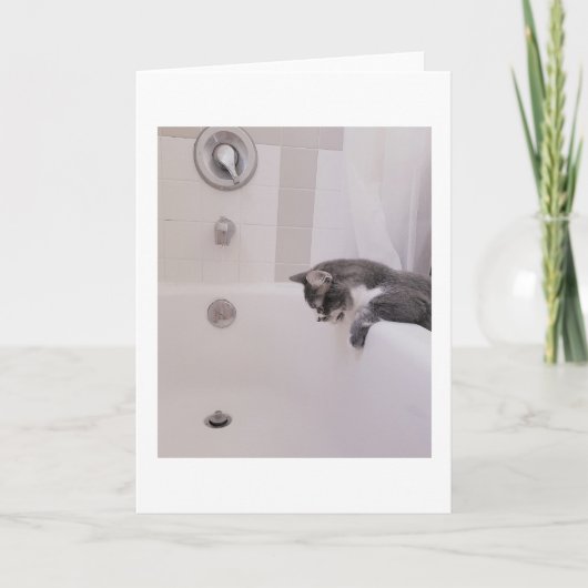 ボリスザカワイナバー子猫グリーティング カード (正面)