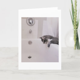 ボリスザカワイナバー子猫グリーティング カード