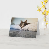 ボリスザキュートナンバー子猫グリーティングカード カード (黄色い花)