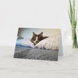 ボリスザキュートナンバー子猫グリーティングカード カード