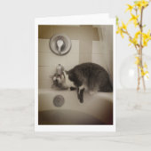 ボリスザキュートナンバー子猫挨拶 カード (黄色い花)