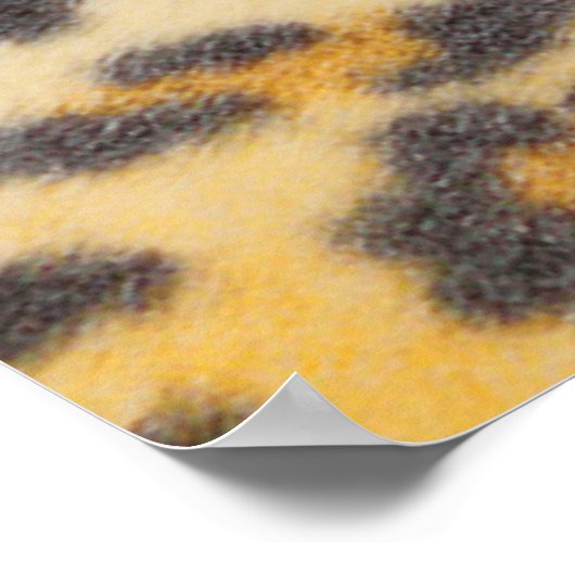 ボリス帯 ポスター (角)