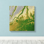 ボリビアのアマゾン キャンバスプリント (インサイチュ (ウッドフロア))