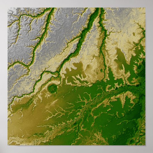 ボリビアのアマゾン ポスター (正面)