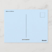 ボリビアのアルパカ ポストカード (裏面)