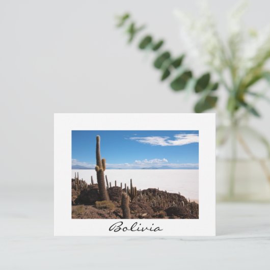 ボリビアのウユニ島サラルにある巨大サボテン ポストカード (スタンド正面)