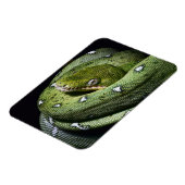 ボリビアのグリーンツリースネークエメラルドボア マグネット (左側)