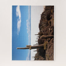 ボリビアのサラール族de Uyuniの巨大なサボテン