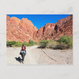 ボリビアのトゥピサ州Recorriendo los valles de Tupiza。 ポストカード