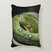 ボリビアの緑の木のヘビのエメラルドのボア アクセントクッション (正面(垂直))