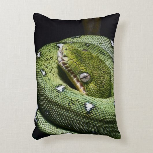 ボリビアの緑の木のヘビのエメラルドのボア アクセントクッション (正面(垂直))