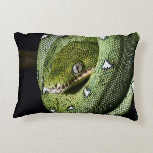 ボリビアの緑の木のヘビのエメラルドのボア アクセントクッション (裏面)