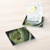 ボリビアの緑の木のヘビのエメラルドのボア ガラスコースター (アングル)