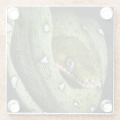 ボリビアの緑の木のヘビのエメラルドのボア ガラスコースター (裏面)