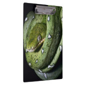 ボリビアの緑の木のヘビのエメラルドのボア クリップボード (右)